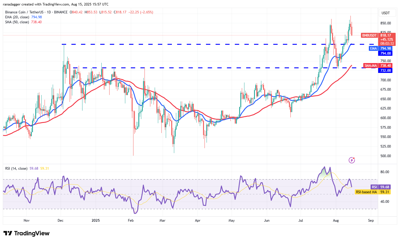 BNB/USDT daily chart. Source: Cointelegraph/TradingView