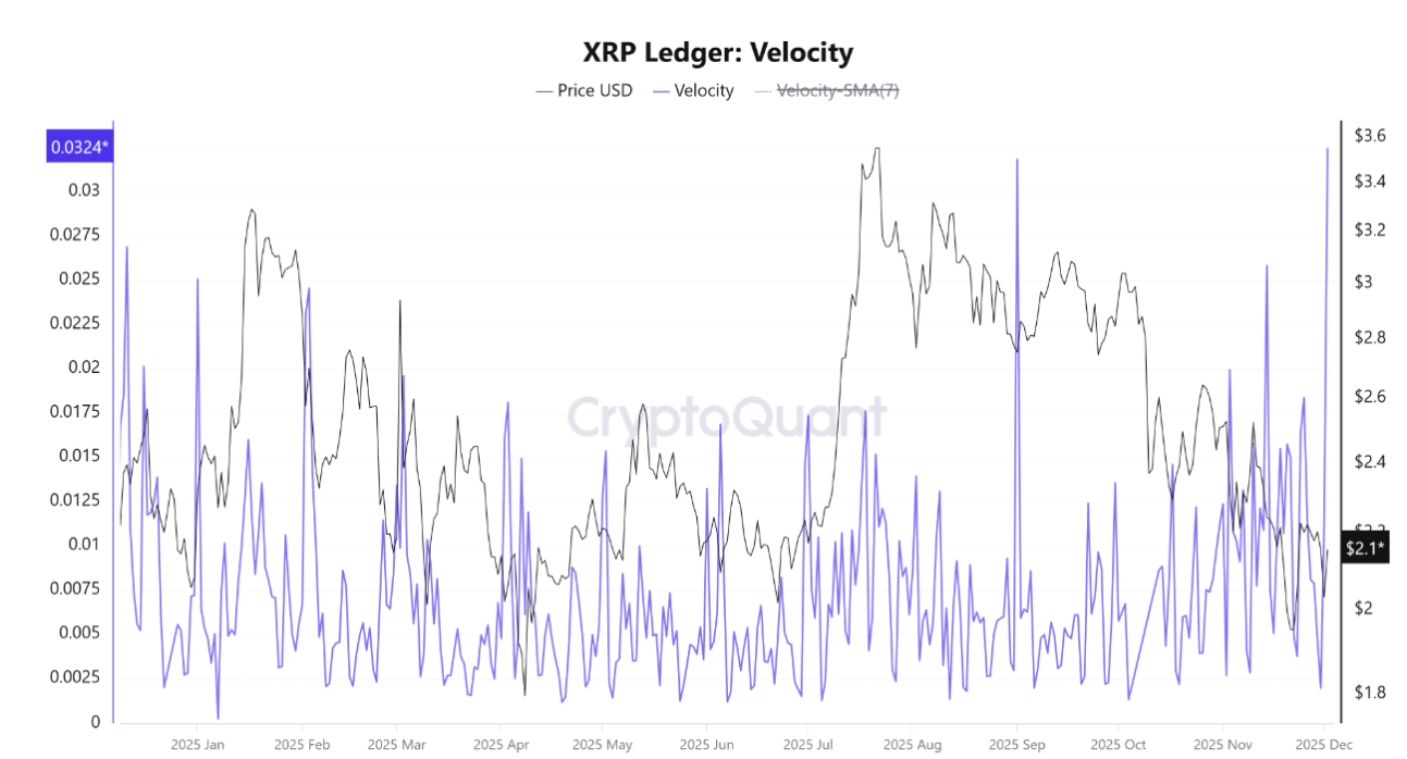 XRP/Ledger velocity. Source: CryptoQuant
