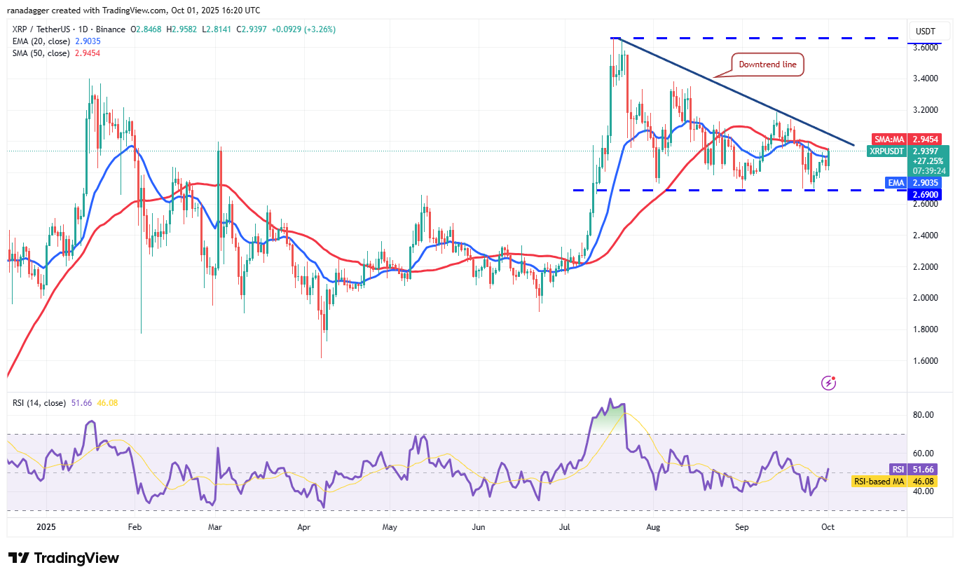 XRP/USDT daily chart. Source: Cointelegraph/TradingView