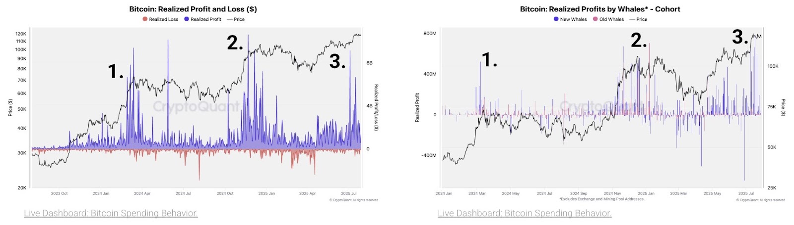 New whales are behind the third profit-taking phase in Bitcoin’s current market cycle. Source: CryptoQuant