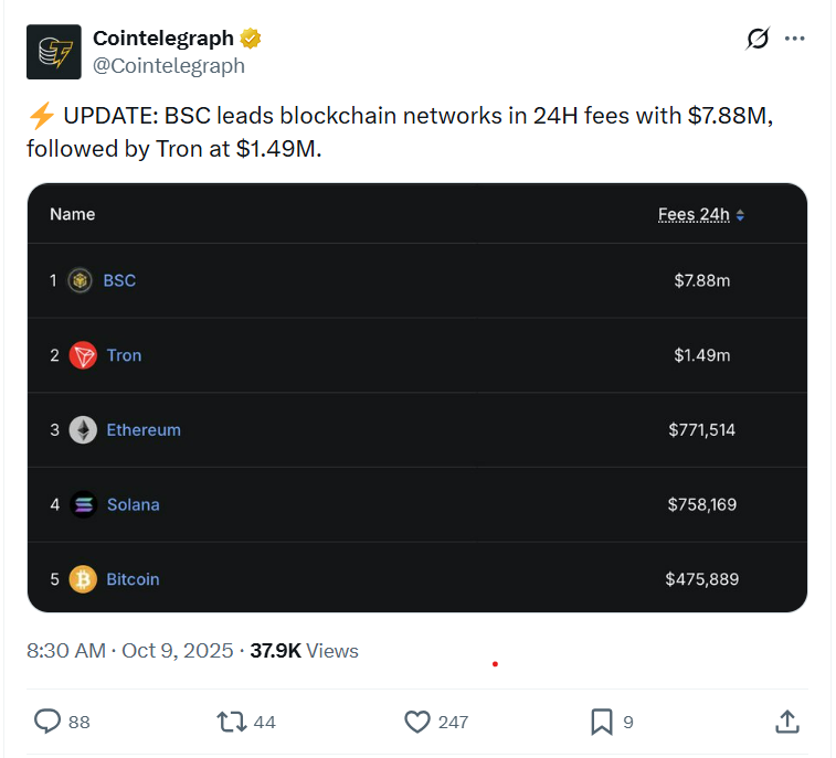 BSC leads blockchain networks | Source: Cointelegraph