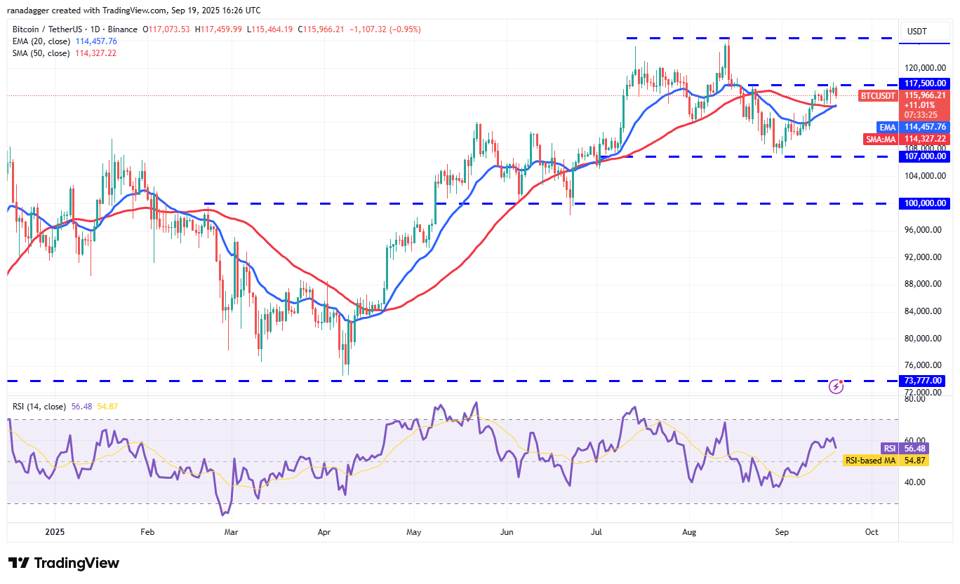 BTC/USDT daily chart. Source: Cointelegraph/ TradingView