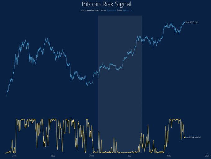 Bitcoin risk signal. Source: Willy Woo