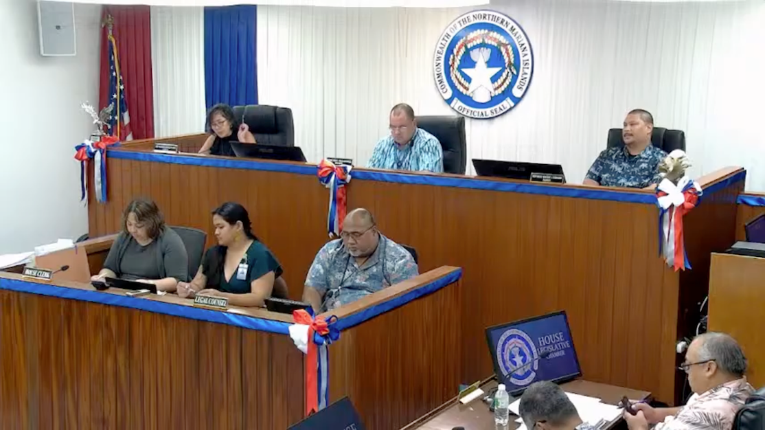 Representative Marissa Flores (top left) had urged for “thoughtful deliberation” on the internet gaming and stablecoin bill. Source: YouTube