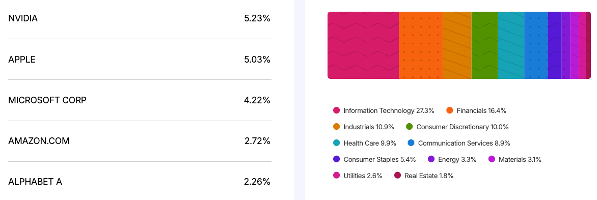 Top five constituents of the MSCI World index and sector weights. Source: MSCI