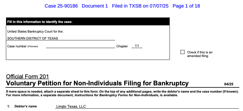 An excerpt from Linqto’s voluntary petition for non-individuals filing for bankruptcy. Source: Epiq