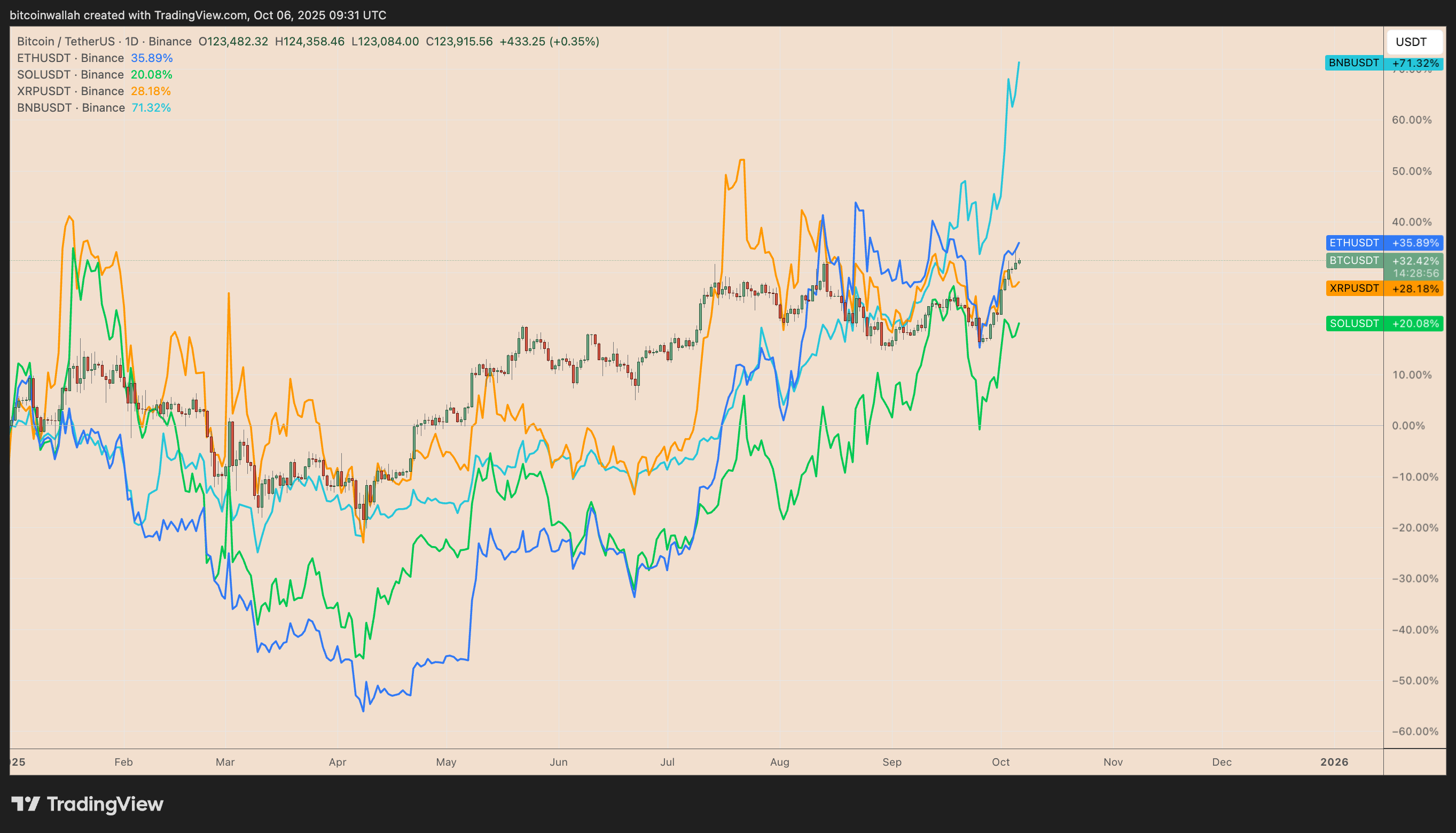 BTC/USDT, ETH/USDT, XRP/USDT, SOL/USDT, and BNB/USDT year-to-date performance. Source: TradingView