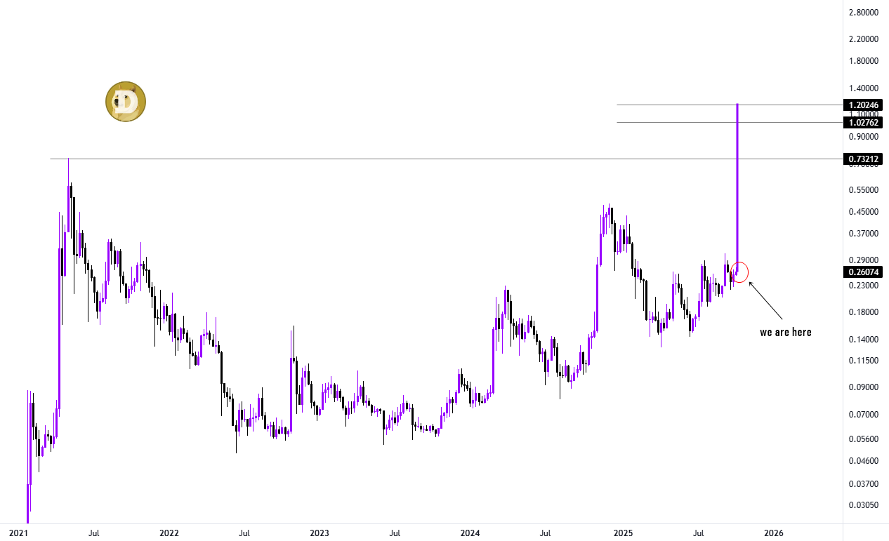 DOGE/USD chart. Source: Mags