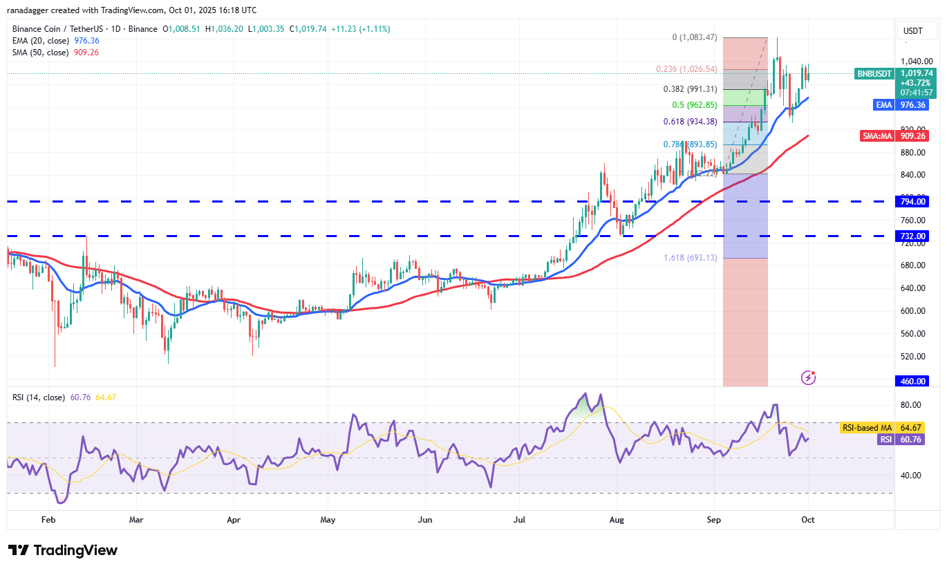 BNB/USDT daily chart. Source: Cointelegraph/TradingView