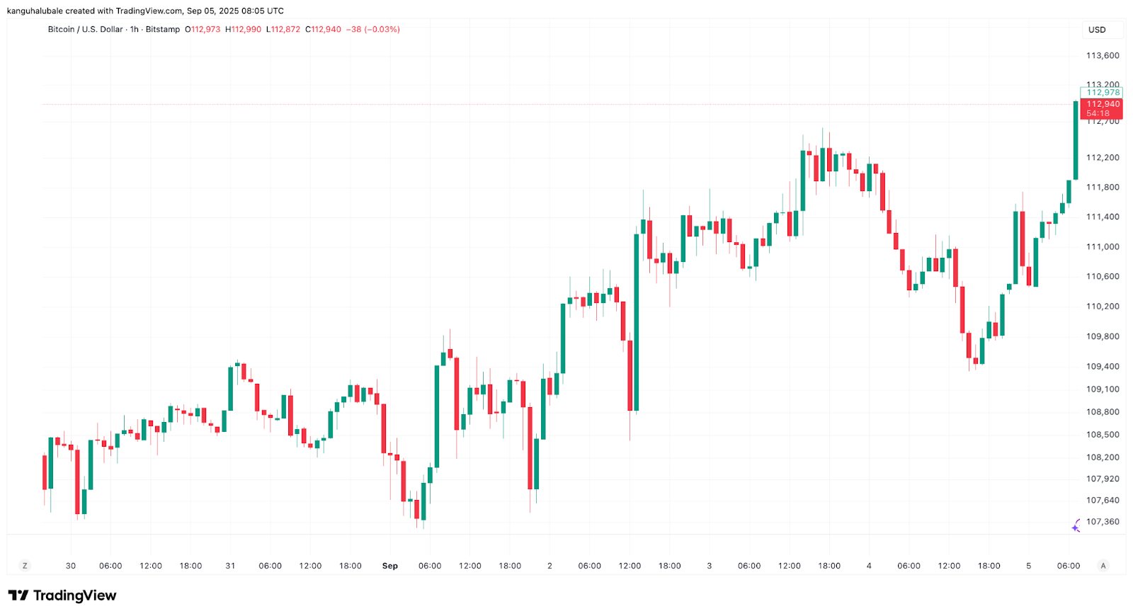 BTC/USD hourly chart. Source: Cointelegraph/ TradingView